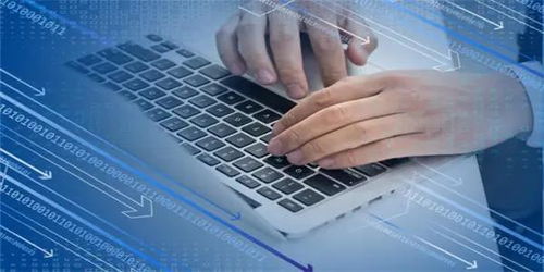 信息技術服務逆勢領漲，新IT持續引領數字化破局