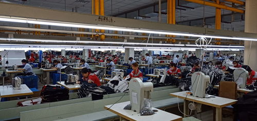 咸陽市新興紡織工業園實力雄厚 智能化服裝工廠初露鋒芒